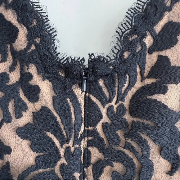 Tadashi Shoji Lace & Tulle Sheath Dress 6 Navy Nude Cocktail Party Wedding Guest - Picture 9 of 15